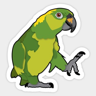 Bomber Yellow Nape Amazon Parrot Sticker